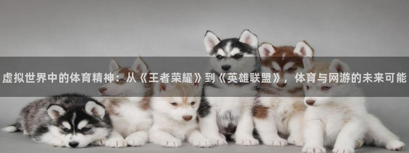 77体育app下载官网