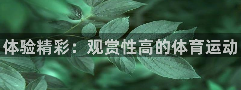77体育官网