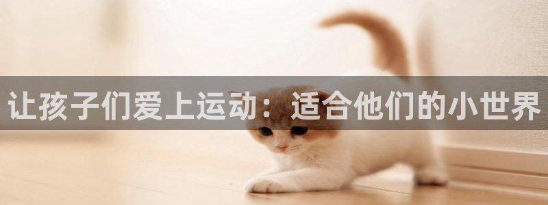 77体育官网