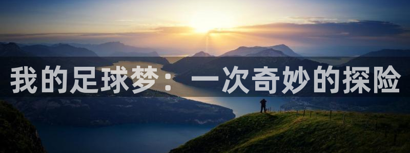 77体育官网