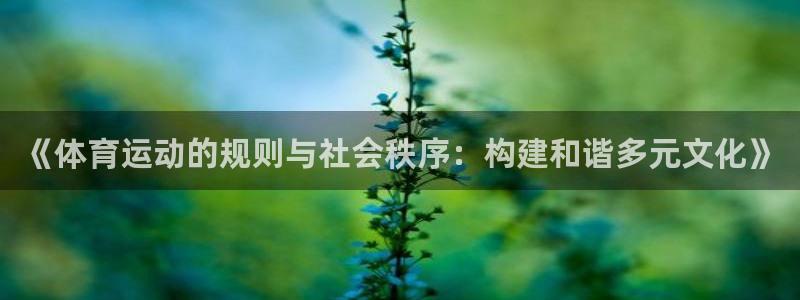 77体育官网