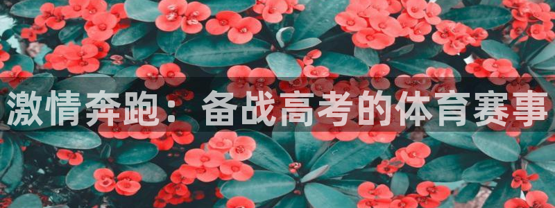 77体育