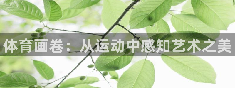 77体育