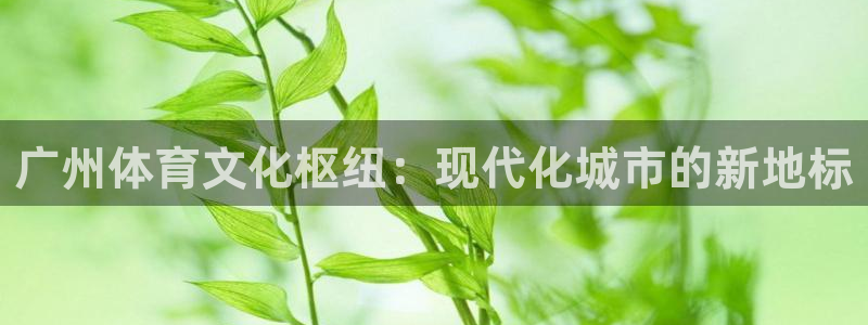 77体育官网