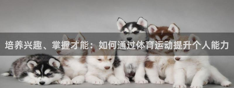 77体育官网