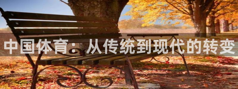 77体育官网