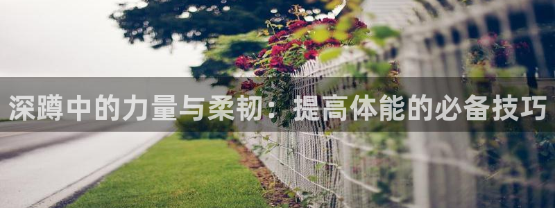77体育