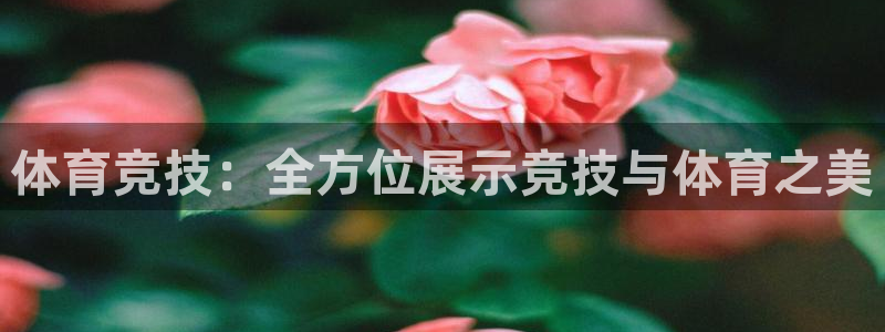 77体育app下载官网