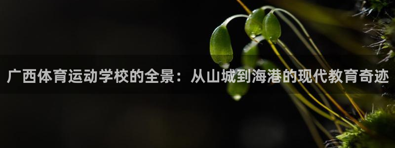 77体育官网